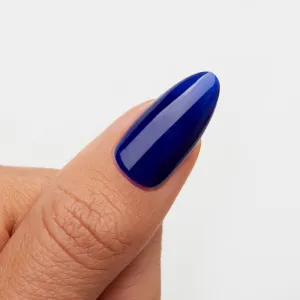 Into the Blue