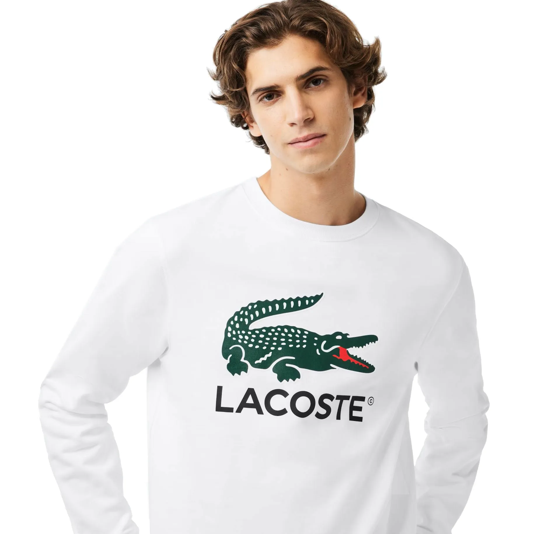 Lacoste Classic Fit Cotton Fleece Men's Sweatshirt White