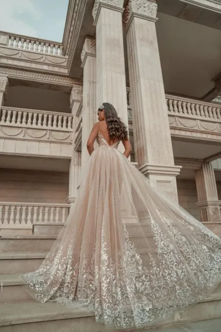 Stylish Sleeveless V-Neck Evening Party Dress Aline Backless Prom Dress with Lace Appliques